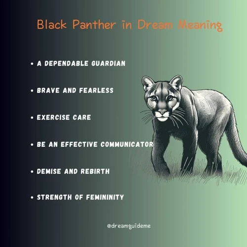 Black Panther Symbolism