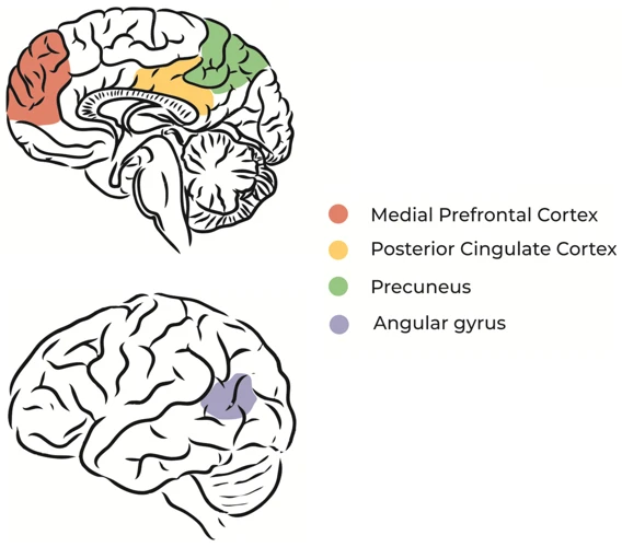 Common Emotions Associated With Library Dreams