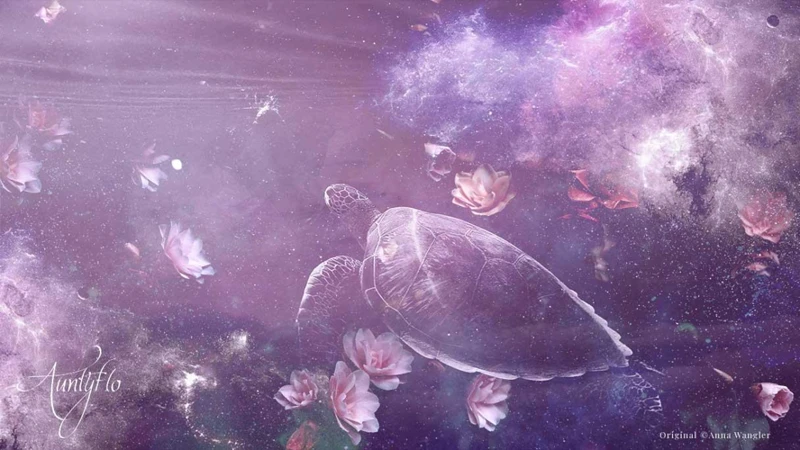 Diving Into The Dream Of Turtles