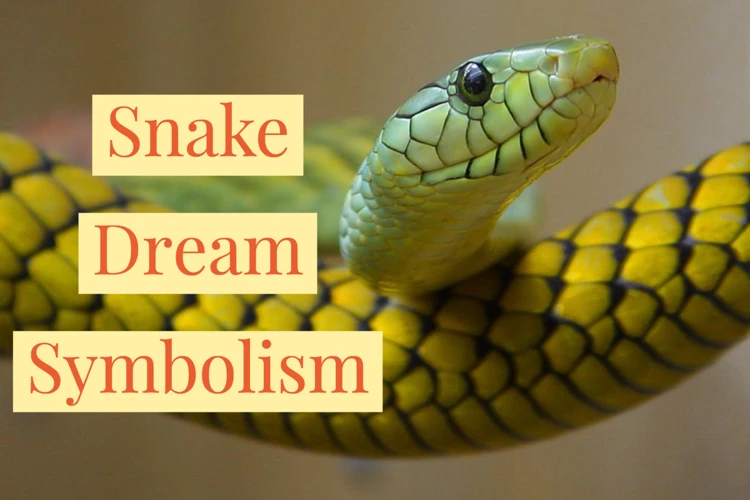 Dreaming Of A Snake Swallowing Another Snake: What It Signifies