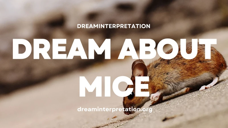 Interpreting Dreams Of A White Mouse