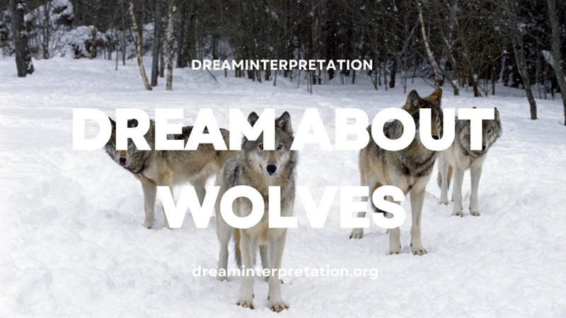 Interpreting Dreams Of A White Wolf