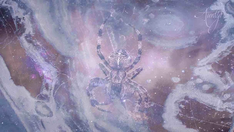 Interpreting Dreams: White Spider Meanings