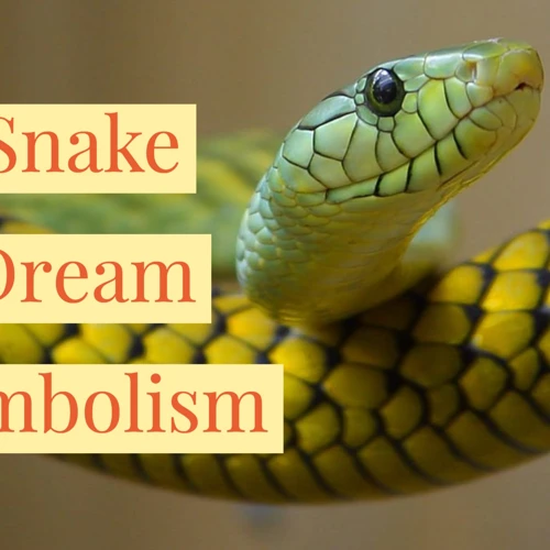 Interpreting Snakes Wrapping Around You