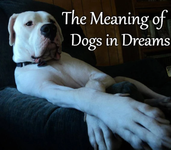 Interpreting The Death Of Your Dog In Your Dream