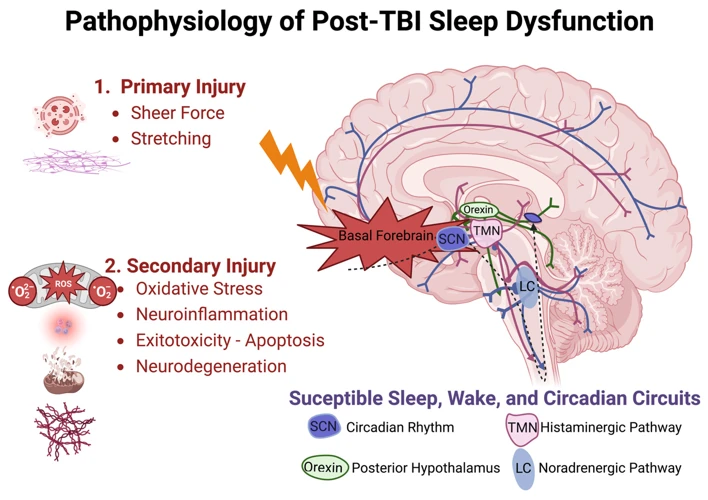 Psychological Factors Influencing Seizure Dreams