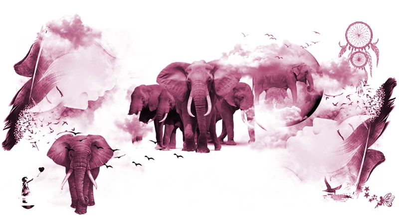 Symbolic Meanings Of Elephants In Dreams