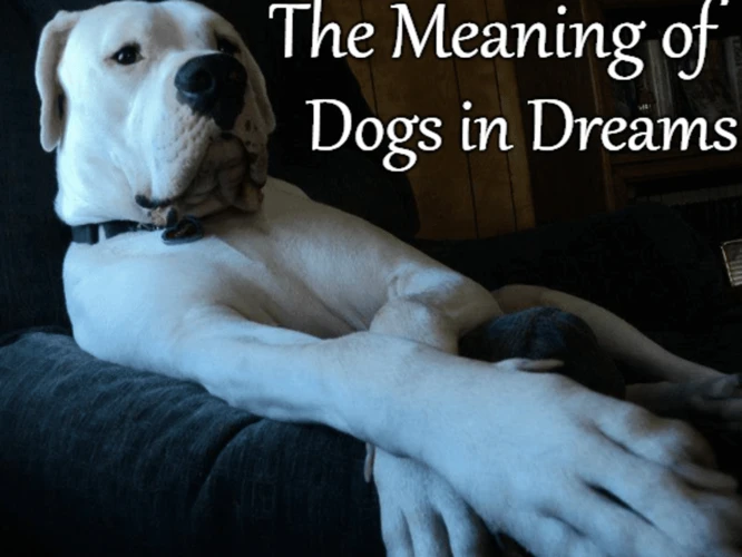 Symbolism Of Dogs In Dreams