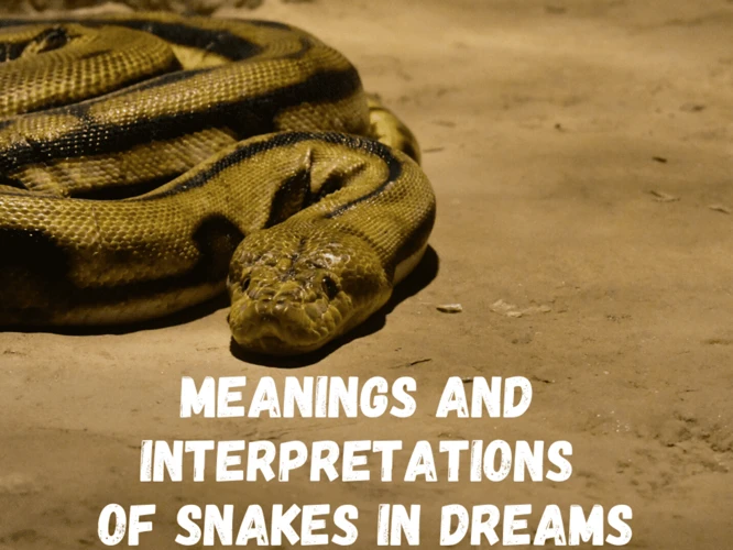 Symbolism Of Snakes In Dreams