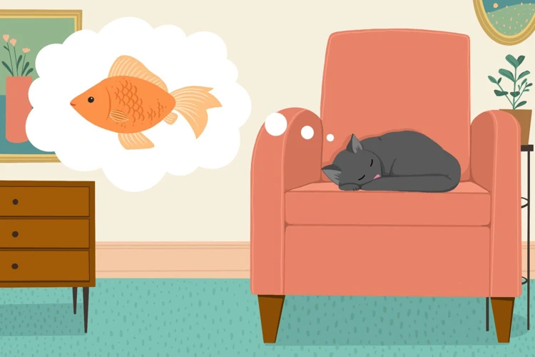 The Influence Of The Cat On Your Dream