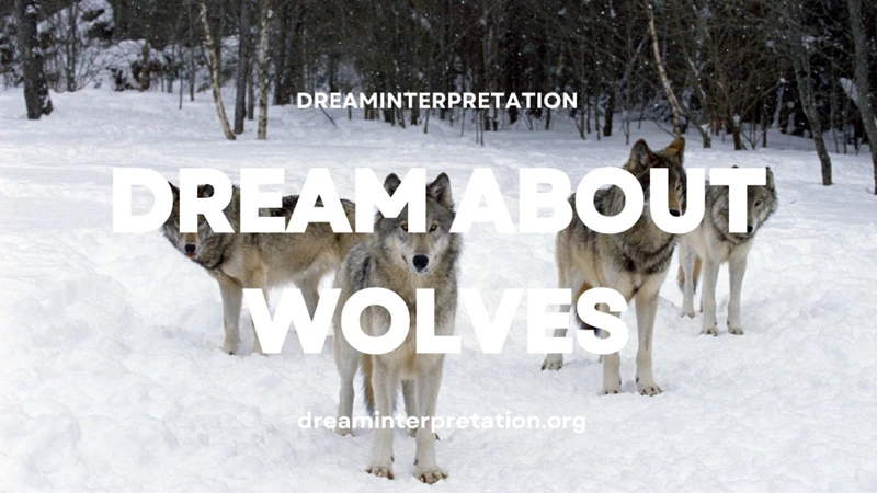 The Significance Of Wolves In Dreams