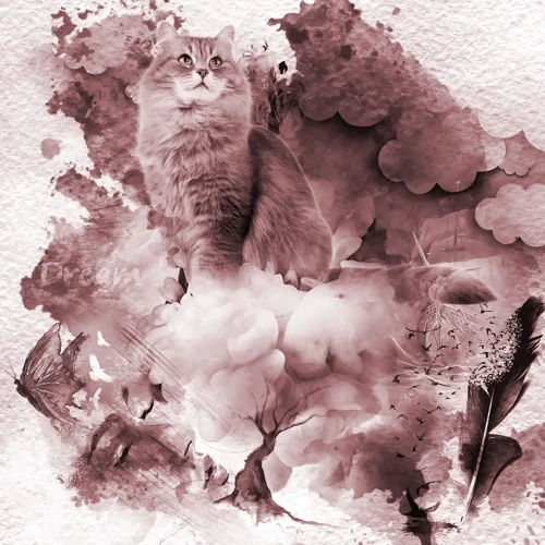 The Symbolic Interpretation Of Cats In Dreams