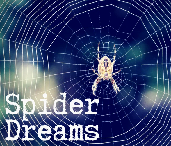 The Symbolism Of Spiders In Dreams