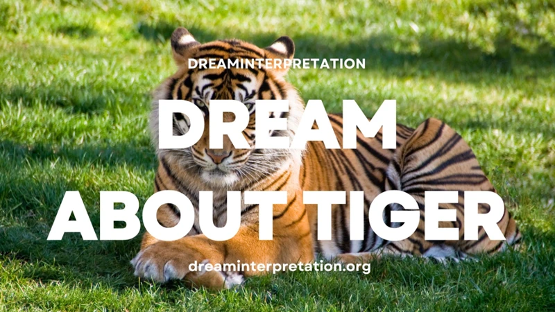 Tigers In Dreams