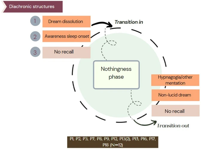 Understanding Dreamless Nights